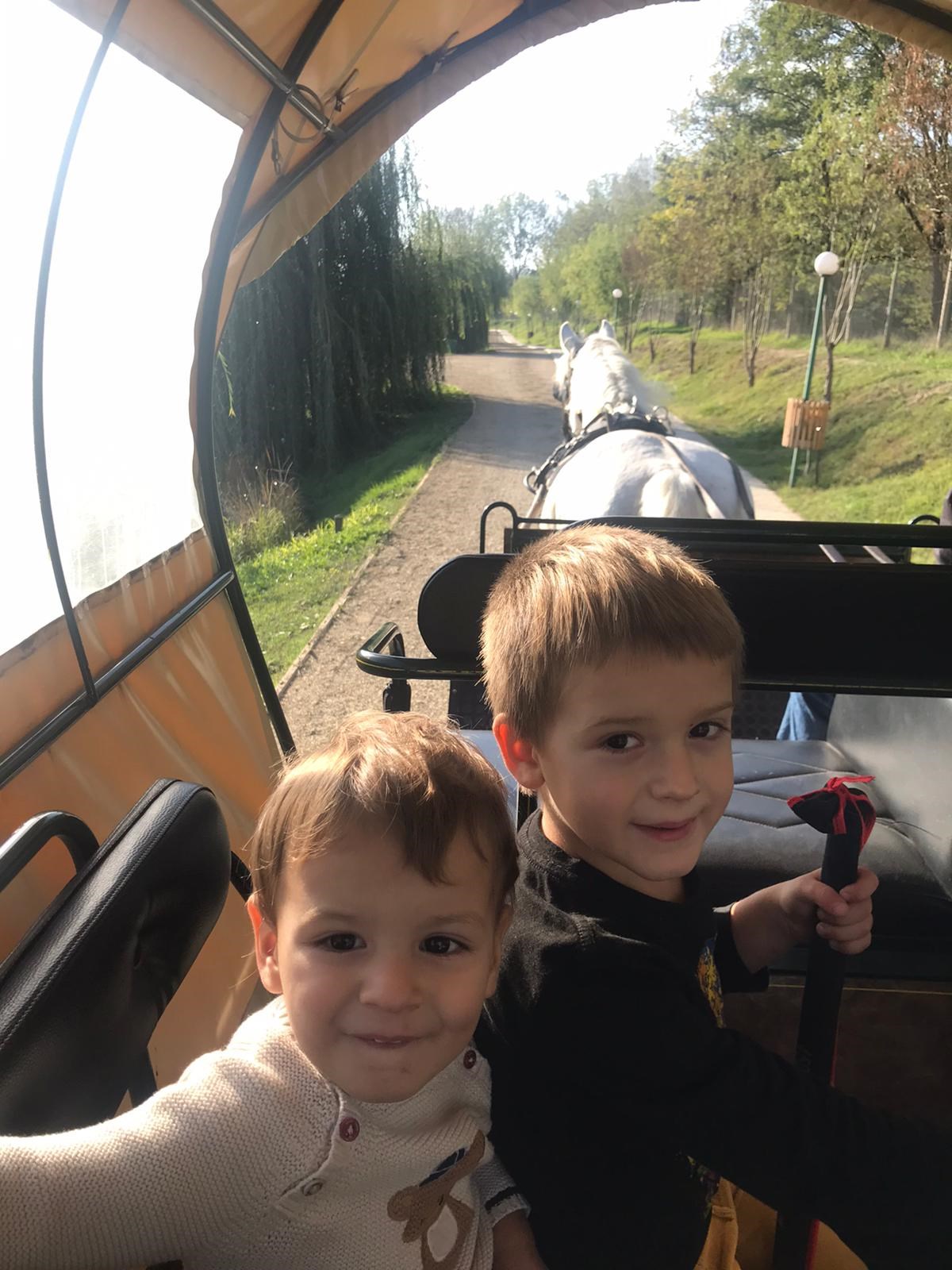 Zaga Zaga - copiiplimbarecucarutalazagazaga.jpg